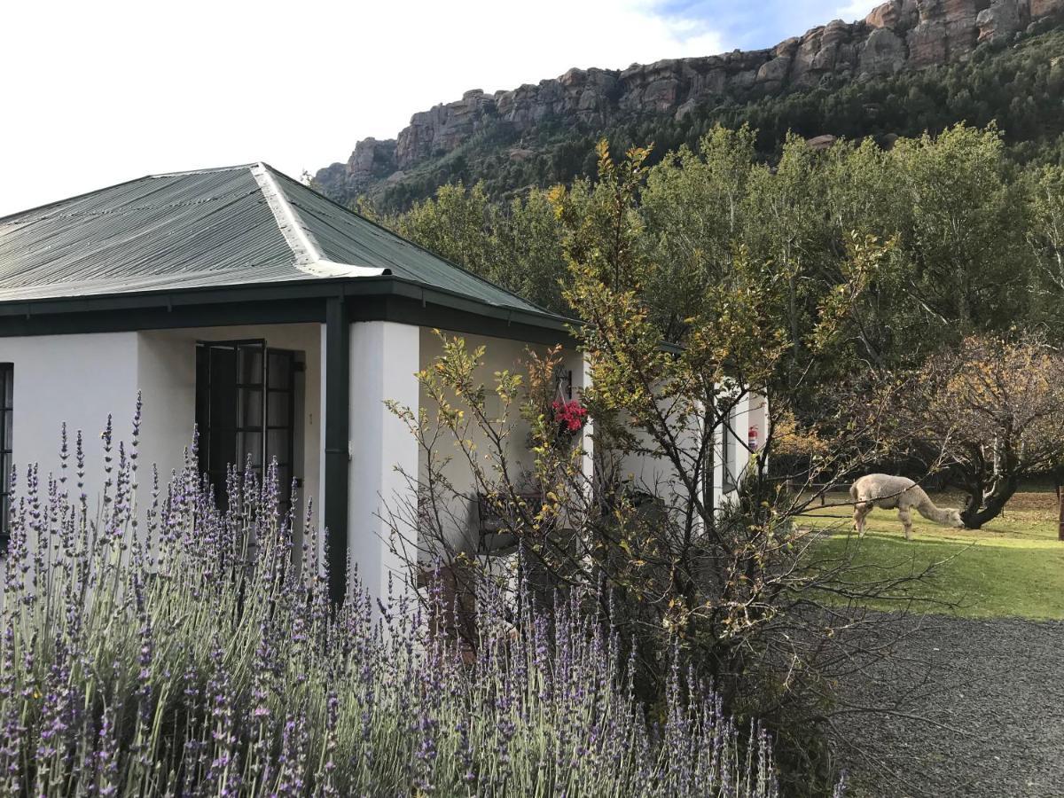 Comfrey Cottage Lady Grey Exterior photo